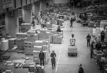 Carrinho de carga para transporte: guia técnico e benefícios