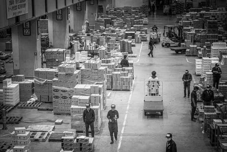 Carrinho de carga para transporte: guia técnico e benefícios