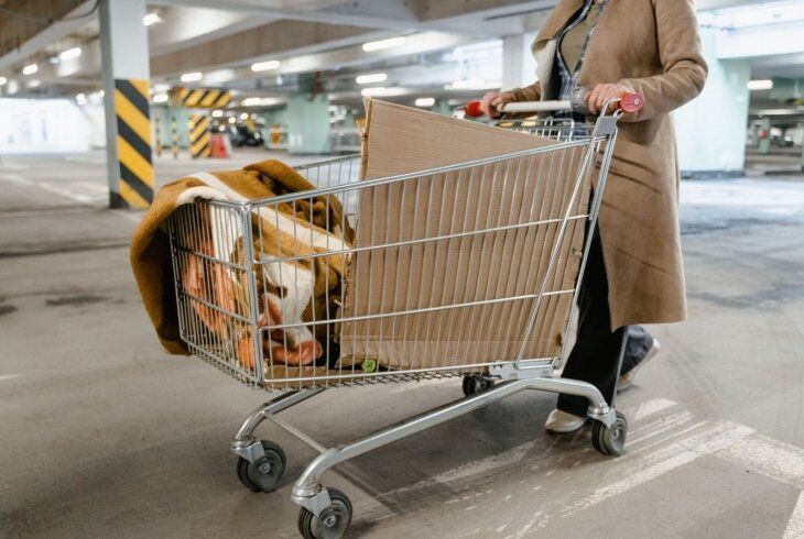 Diferenças entre carrinhos para movimentação de materiais