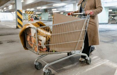 Diferenças entre carrinhos para movimentação de materiais Diferenças entre carrinhos para movimentação de materiais
